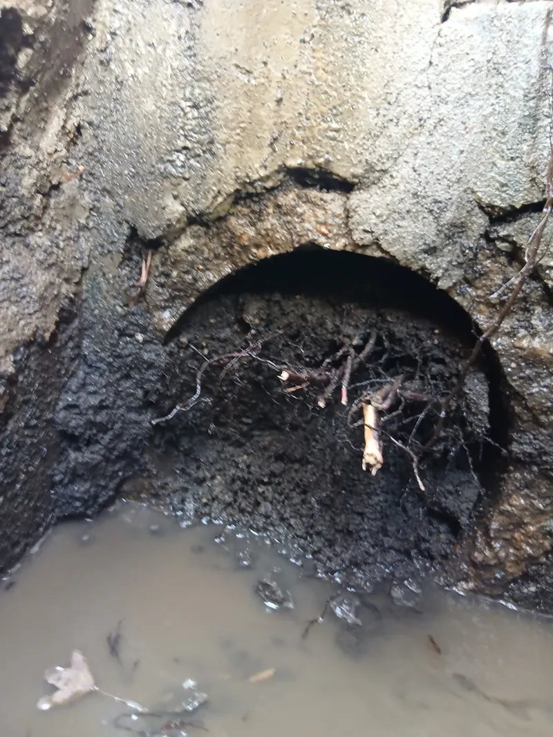 hydrocurage-giraud-environnement (7)-petite